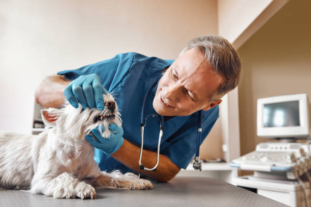 Best Broken or Cracked Tooth Emergency Dentist in Ackley, IA